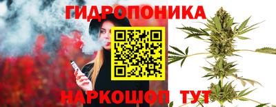 твердый Лесосибирск